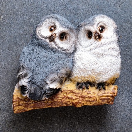 Owls "Owls on the bitch" Small, 17x10cm, mix-3