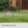 3-fly spray, 28 cm, fitting for hoses 1/2, 5/8 ", 3/4", peak, plastic, Greengo
