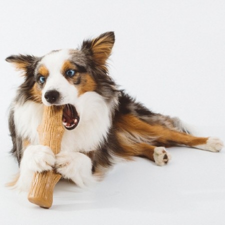 PETSTAGES DOGWOOD toy for dogs, wooden sticks, big-2