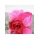 Soap roses, colored shades, set of 12 pcs.
