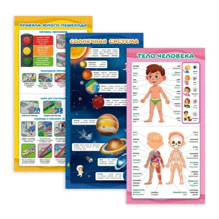 Collection of training posters "Preparation for school", 29 × 29 cm-3