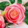 Flowers artificial "rose" three buds, 8x80 cm, peach