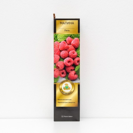 Raspberry promising varieties "Lel", 1 pc, tube, spring 2025
