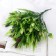 Bouquet "Fern and Fluff" 30 cm, mix