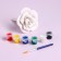 Gypsum "Rosa" paint 6 cv 2.5 ml, brush