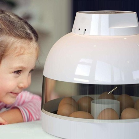 Incubator, 10 eggs, automatic coup, 220 V, Janoel-7