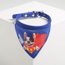 A collar with a scarf Super Dog 32 x 1 cm, blue,