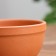 Flower Astra Pot