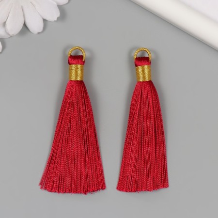 Decor for creativity Textile "Brushing. Olivia" Bordeaux set 2 pcs 8x1.2 cm