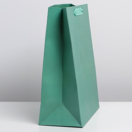 Packaging, gift -laminated gift package, Tiffany, M 26 x 30 x 9 cm-1