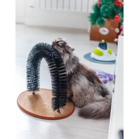Complex for cats with claws and arch arch-5