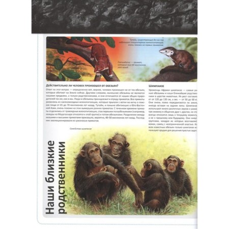 Man in prehistoric times. Children's Encyclopedia-5