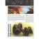 Man in prehistoric times. Children's Encyclopedia