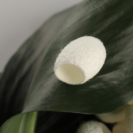 A set of sponges for peeling from mulberry silkworm, 20 pcs, white color-3