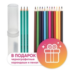 Pencils of 12 flowers Calligrata, economical, sharpened, hexagonal, plastic, pencil-tobus and 3 black-graphic pencils with an eraser as a gift