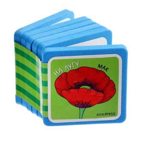 Mini-book. What is growing here? Set of 4 books-5