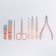 Manicure set, 8 objects, in case, beige/pink gold color