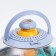 Set of young researcher "flying saucer"