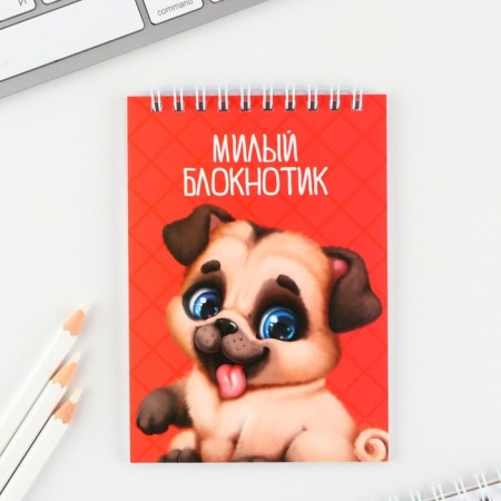 MIX of Notepad A6, 40 liters on the crest, the soft cover of the "animals"-3