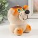 Growing gift Eco -Levik "King Leo" mix