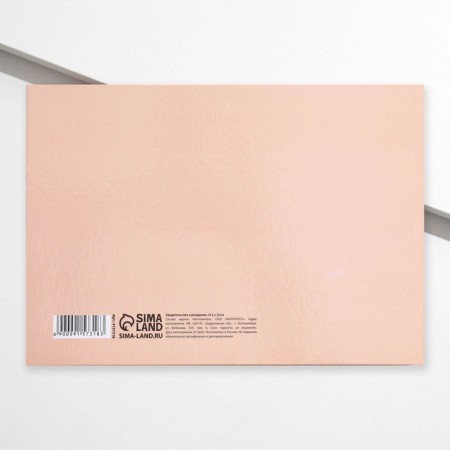 Folder for birth certificate "Mark", A5-1