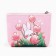 Children's gift set of Easy Box with Korea wallet "
