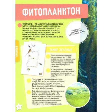 Dinosaurs. World Ocean. Insects and spider -shaped. Animals-12