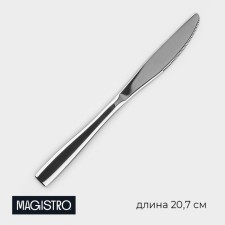 Stainless steel knife Magistro Bravo, length 20.7 cm, thickness 4 mm