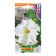 Petunia seeds snow blizzard large -flowered fringe, 10 pcs