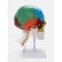 Matcage "Skull with the brain" Disassembly 27*19*12cm