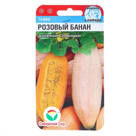 Pink Banana pumpkin seeds, 5 pcs-3