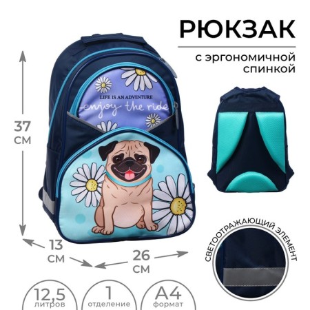 School backpack, 37 x 26 x 13 cm, ergonomic back, calligrata AN "bulldog"