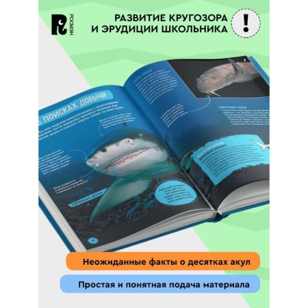 Sharks. Illustrated encyclopedia. Mason P.-1