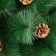 Cedar green cones 210 cm, D of the lower tier 110 cm, D needle 10 cm, 373 branches, metal stand