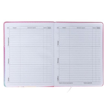 Universal diary for grade 1-11 Manga Girl, integral cover, artificial leather, silkography, lies, 80 g/m2-6