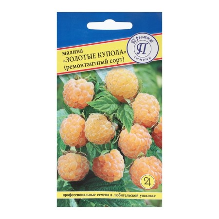 Raspberry raspberries "Golden Dome", 10 pcs