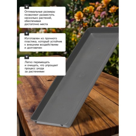 Matin for seedlings, 37 × 13 × 2.5 cm, plastic, gray-4