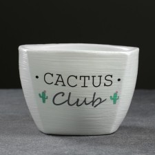 Kashpo cactus white 0.5 l