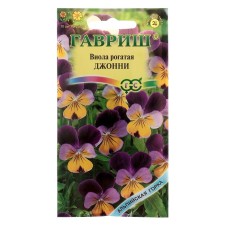Viola flowers 