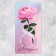 Money envelope "March 8" Rose, 16.5 x 8 cm