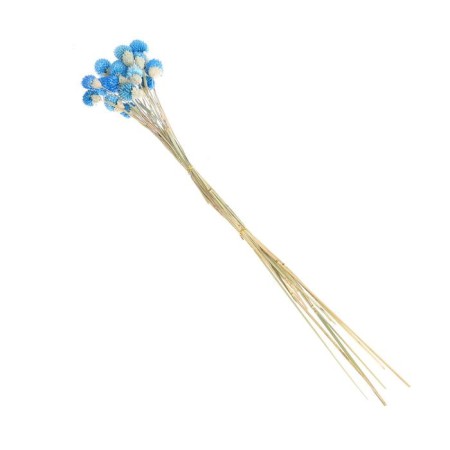 Sukhotzet "Gofreni Sherrovid" set 20 pcs., Blue color-4