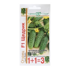 Cucumber seeds 