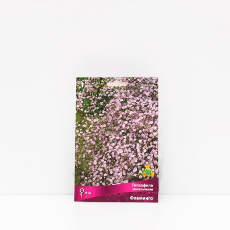 Panich gypsophila "Flamingo", 1 pc, rr I, spring 2025