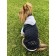 Sweatshirt with OSSO hood for dogs, velor, size 22 (DS 22 cm, OG 32-34 cm), graphite