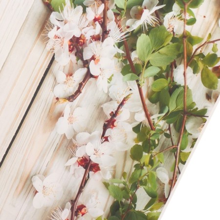 Photophone Vinyl "Apple branches on a light plank wall" 80x125 cm-1