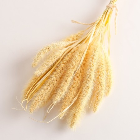 Set of dried flowers "Setaria", banch 7 pcs, length 60-65 (+/- 6 cm), bleached-2