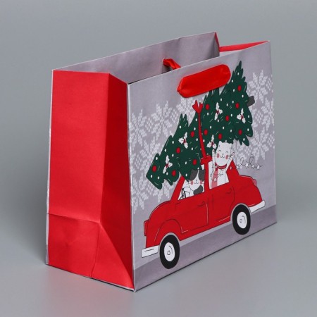 Craft horizontal package “I hurry to you”, MS 23 x 18 x 10 cm, New Year-2