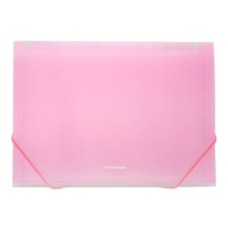 A4 cartridge folder on the 13 departments button, Erichkrause, Matt Neon, transparent plastic, mix-3
