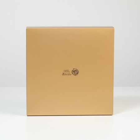 Gift folding box, packaging, Leopard, 25 x 25 x 10 cm-3