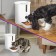 Smart feeder for animals KT-2080, 2.8 l, white